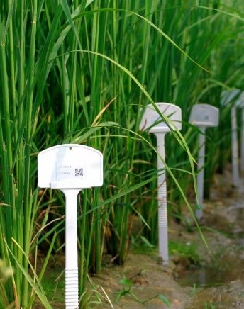 20190903288399.jpg 4.jpg