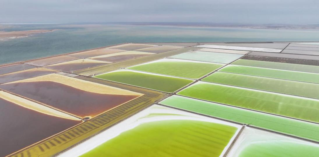 20250220488514.png 图片4.png