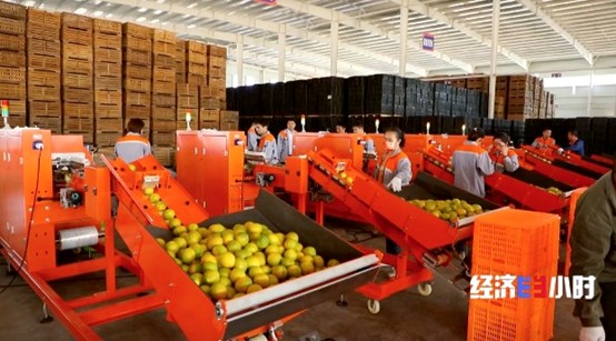 20221229384431.jpg ͼƬ16.jpg