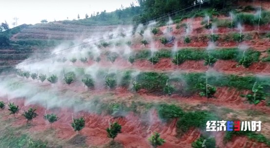 20221229993363.jpg ͼƬ14.jpg