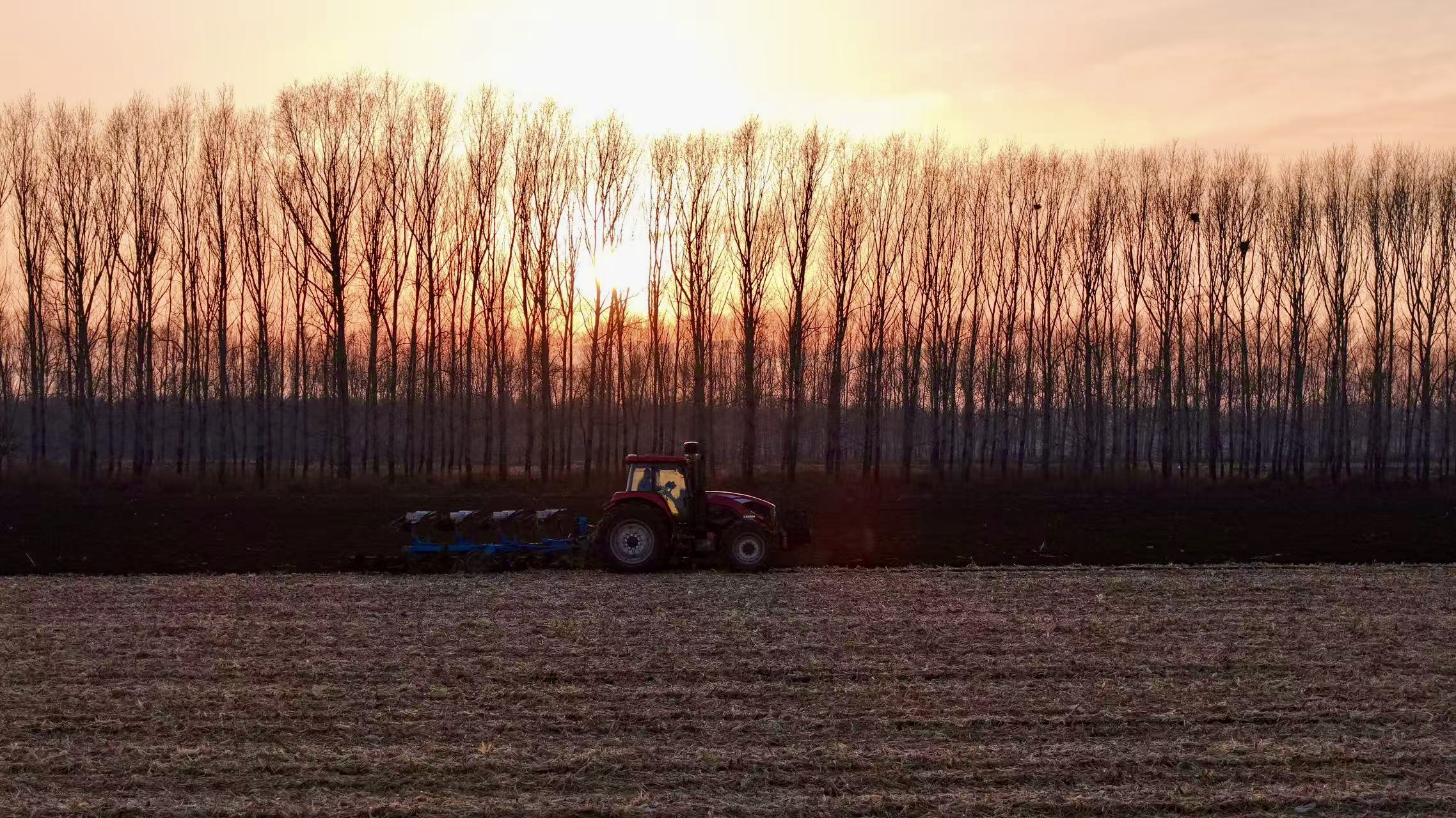 20250226460659.jpg 金融2.jpg